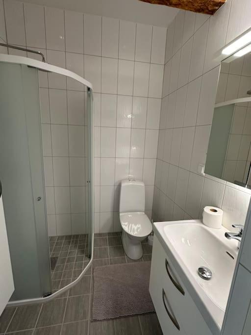 ויסבי Innerstan Nya Laegenheter Soedramurgatan 45B מראה חיצוני תמונה